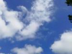 最爱这一抹橄榄绿 ——八一建军节有感   文/细雨——滨州头条