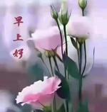 诚为本婉约唯美《星星的眼泪》｜金牌主播冰雪彩霞｜中国桂林都市文学社763期
