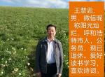 一字令•诗文/王慧忠