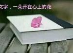  浓浓的情，深深的谊，赤诚的心*作者  吴卫东（内蒙古）【冰心文化传媒】主编 冰心