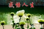 史治科老师2022年现代诗三首｜京津沪头条文学平台发布