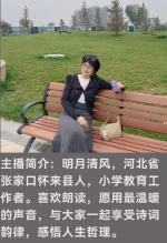 顾兆东《满江红•宝剑赋》诵/明月清风