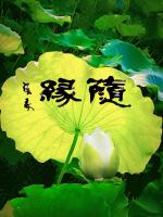【原创作品】《随缘》作者  张彦峰‖朗诵 齐莹