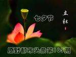 原野都市头条165期《七夕吟》+ 《节令门_立秋》