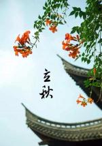 今日立秋     文／刘景颜  