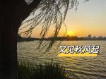 《又见秋风起》 作者‖他山石 主播‖宁静致远
