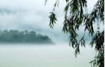 玫瑰伊人朗诵【记忆的行囊】作者/南山