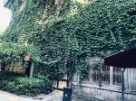 今夏，我再回第二故乡，文/东方慧