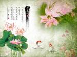 【明心文学】含蓄的感觉之意  作者/老孙  主播/文溪