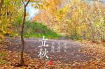 【明心文学】秋歌（组诗）作者/申力  主播/赵淑芹