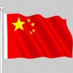 鸣雁惊鸿／徐守玺（山东省临沂市）