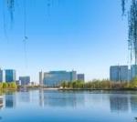 鸣雁惊鸿／徐守玺（山东省临沂市）