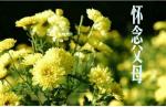 世界诗歌作协*中元节专刊Ⅱ当代诗人:星语《中元节的思念》
