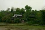 行香子·初秋返乡（词林正韵）词/梦
