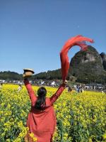 【都市头条向幸福出发编辑部】第744期《雨后花坛》作者  雷道菊