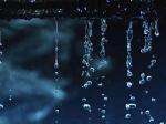 玫瑰伊人朗诵【绵绵的秋雨】作者/刘伙力