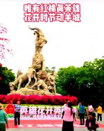 红棉赞歌  文/池朝兴 2023年3月10日