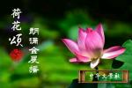 【荷花颂朗诵会展播作品】七绝三首•咏荷三部曲 作者/单劲干 主播/越来越好 主编/孙明慧