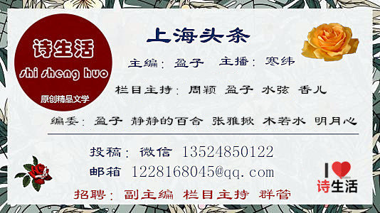 涓婃捣澶存潯.jpg