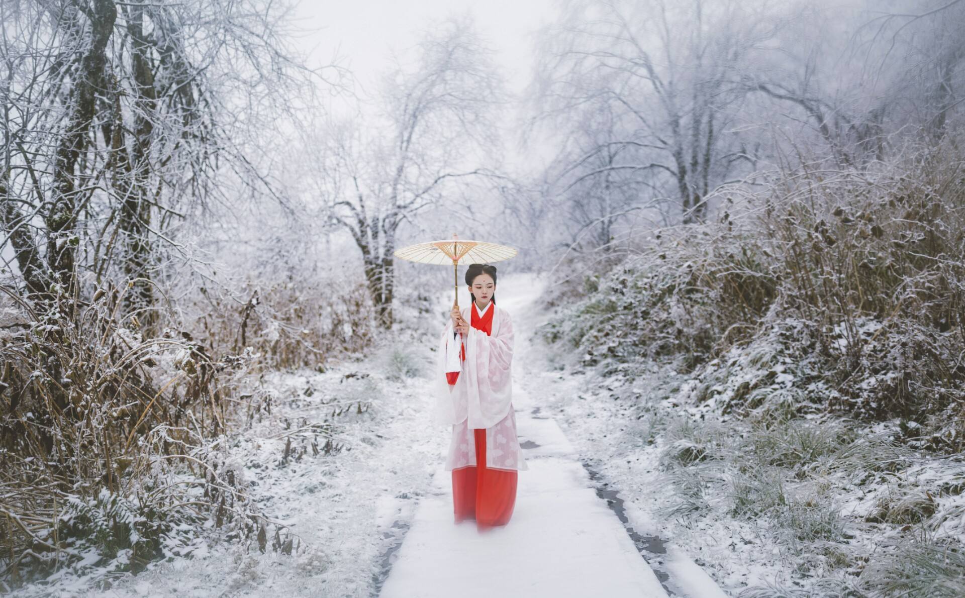 陕南的冬天格外寒冷 似乎要把一切冰封 顷刻间,电闪雷鸣 雨雪霏霏