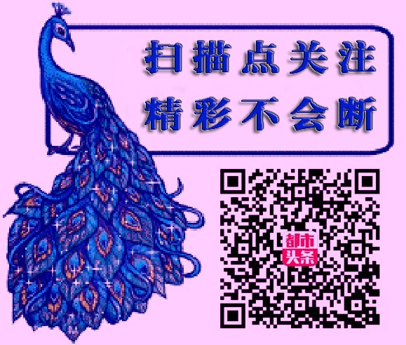 20191208203554019178.jpg