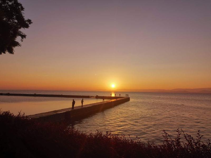 mmexport1591695466977.