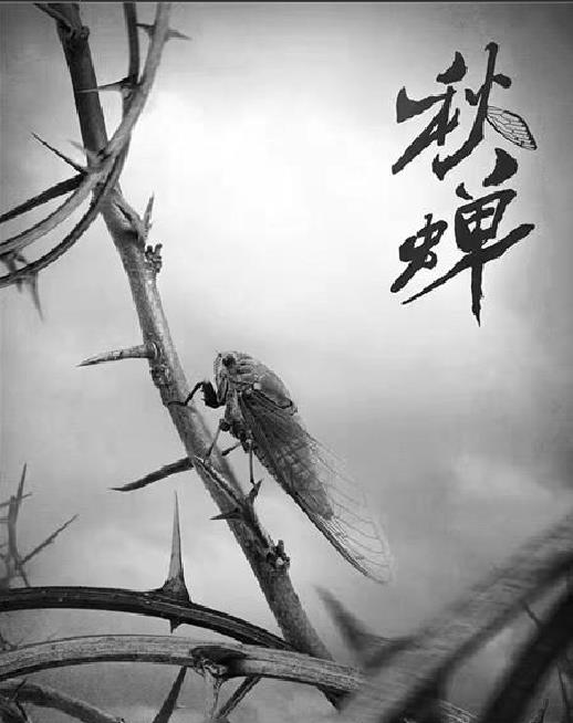 1600223156442023792.jpg 360鎴浘20200916102539167.jpg