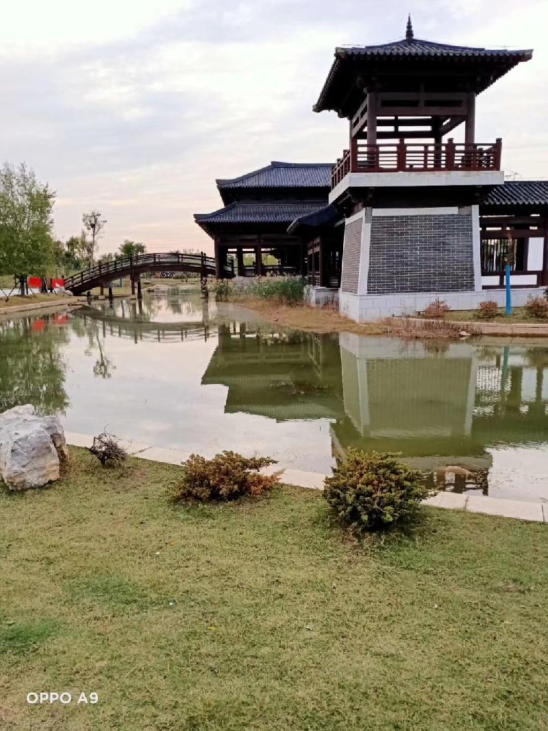 mmexport1602658160873.