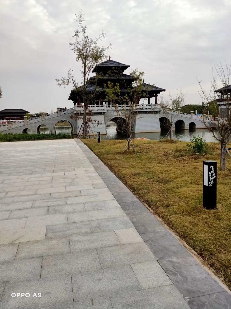 mmexport1602658139767.