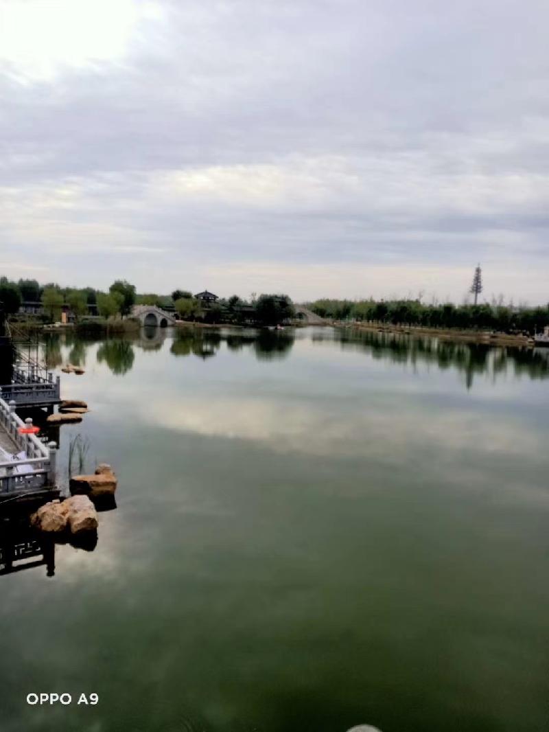 mmexport1602658126798.