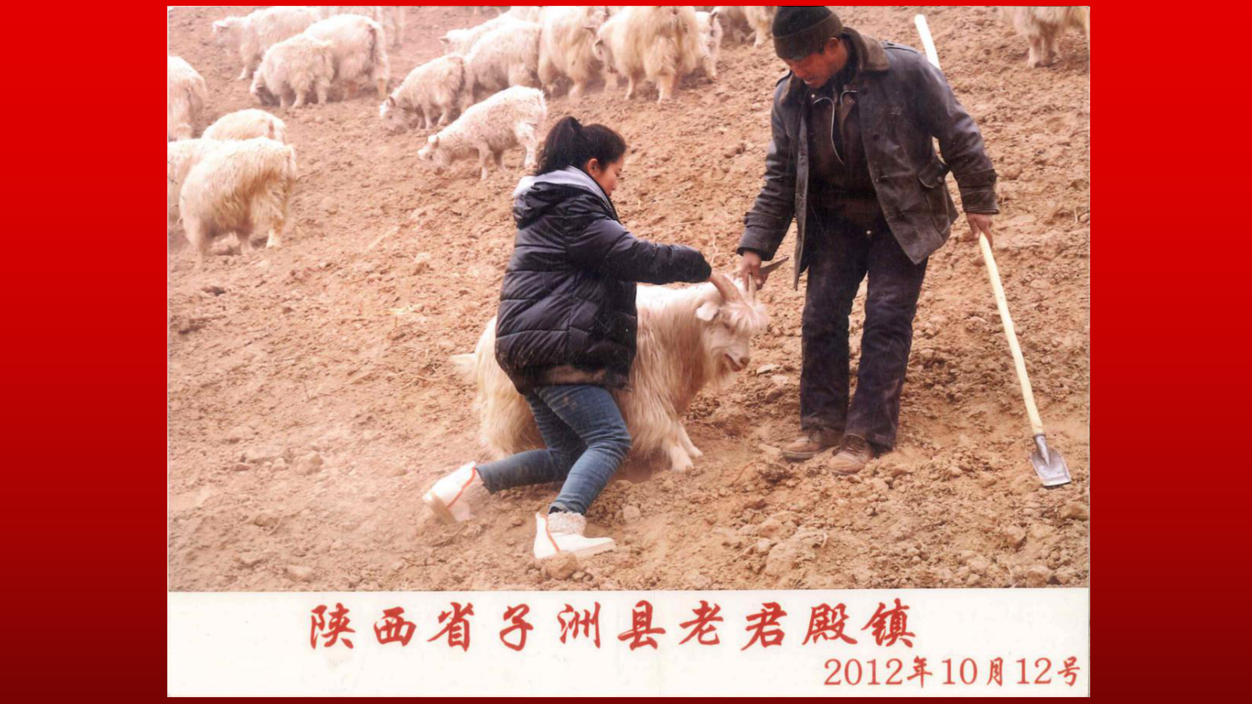 星光大道冠军崔苗：新时代全新“蜕变”新造型、传承新民歌