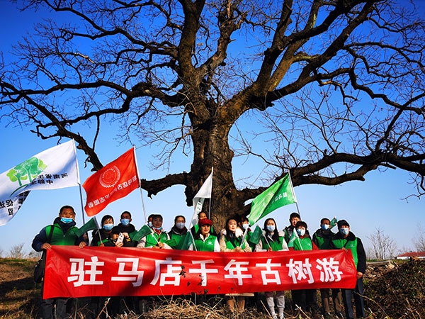 传承红色基因 践行绿色使命—— “驻马店千年古树游”拓展之旅圆满成功2