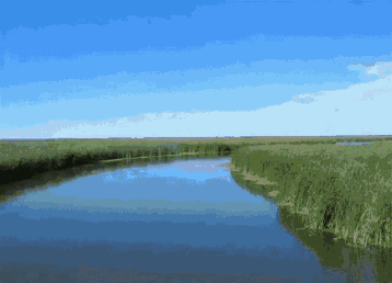 358_258gif 动态图 动图