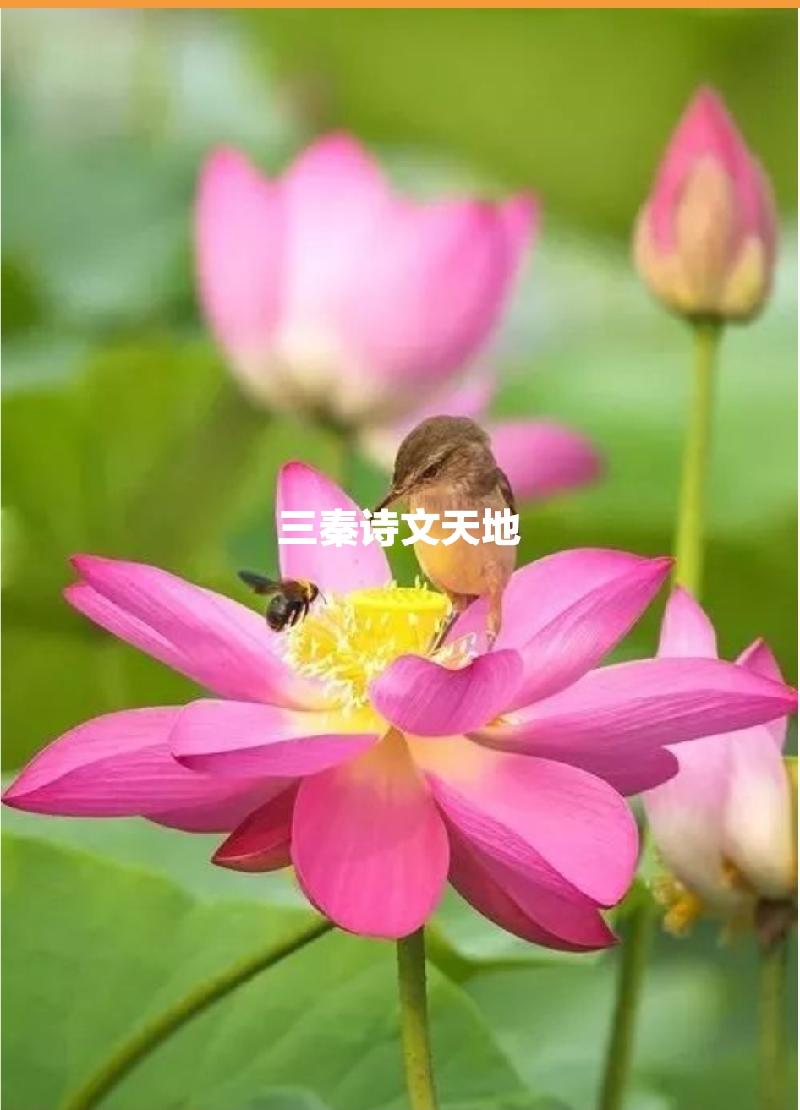 picname
