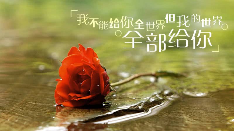 山城日落一作者一天野