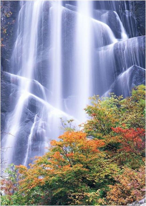 500_705竖版 竖屏