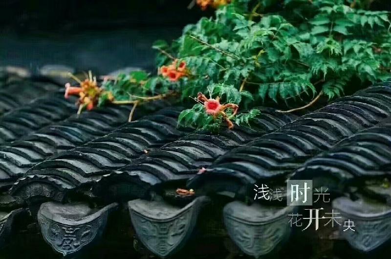 mmexport1568377038601