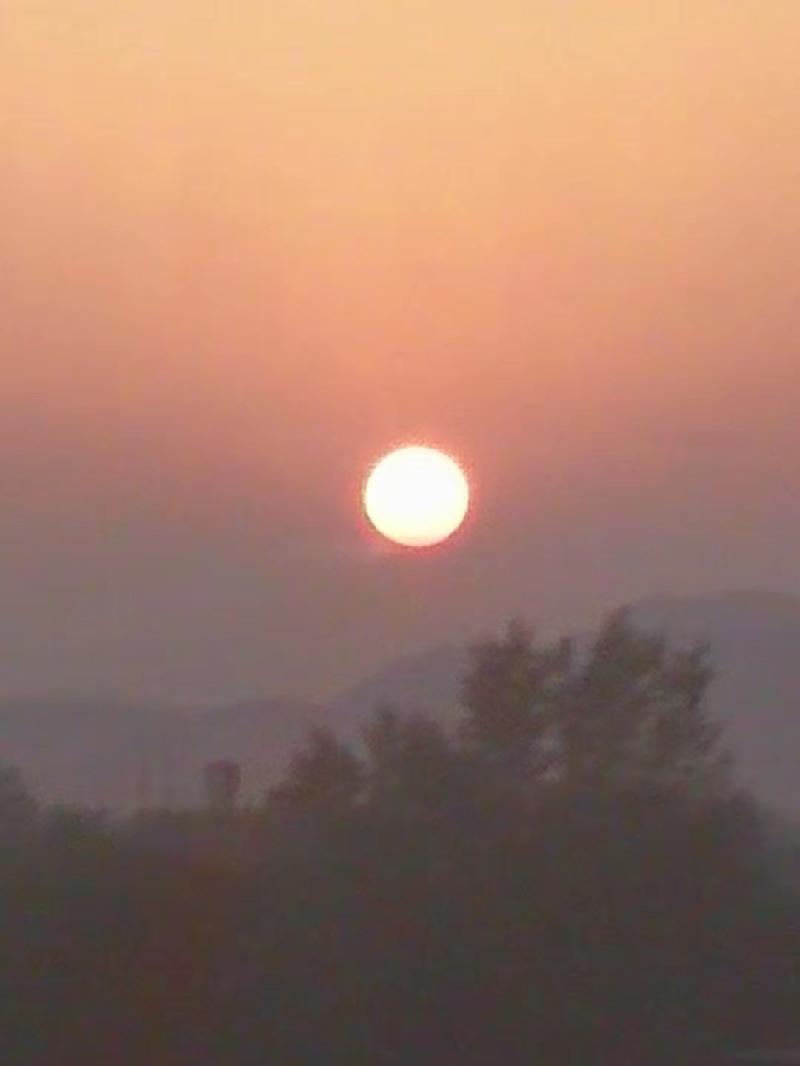 mmexport1564785292334