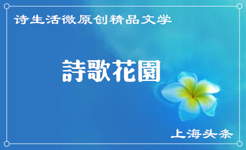 mmexport1565846546257