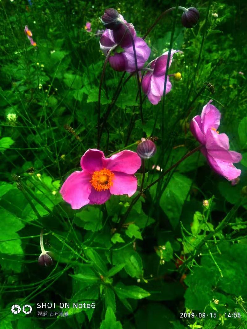 mmexport1568625957135