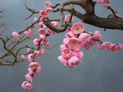 mmexport1568545835206