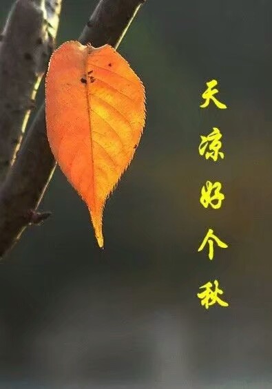 【新秋】焦作市诗词学会红叶诗社同题专辑(26)