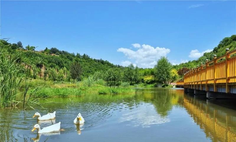 mmexport1569075969921