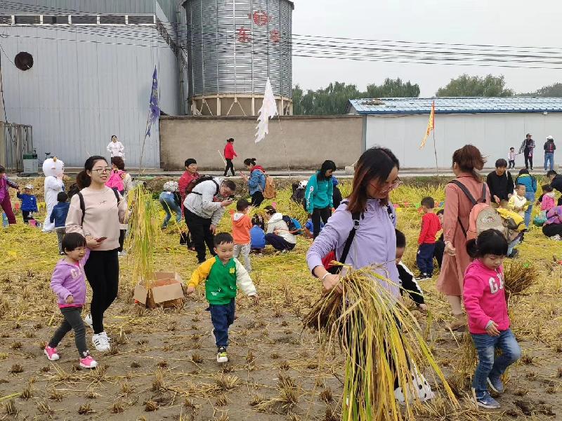 mmexport1570768385401