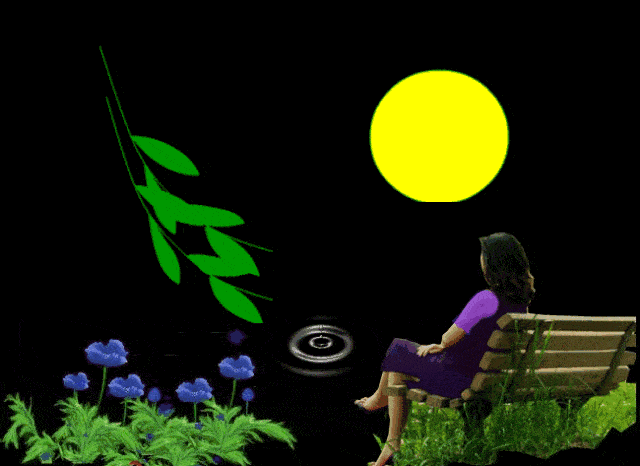 640_466gif 动态图 动图