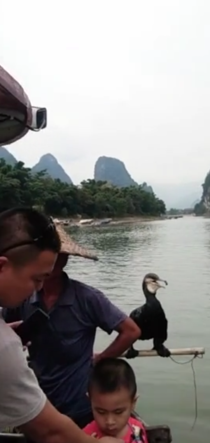 Screenshot_2019-10-11-20-29-13-44