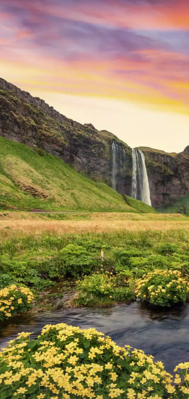 Screenshot_2019-10-11-20-25-14-01