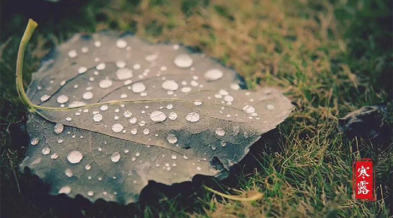 mmexport1570830828593