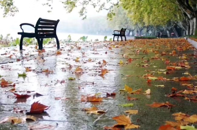 mmexport1570830774205