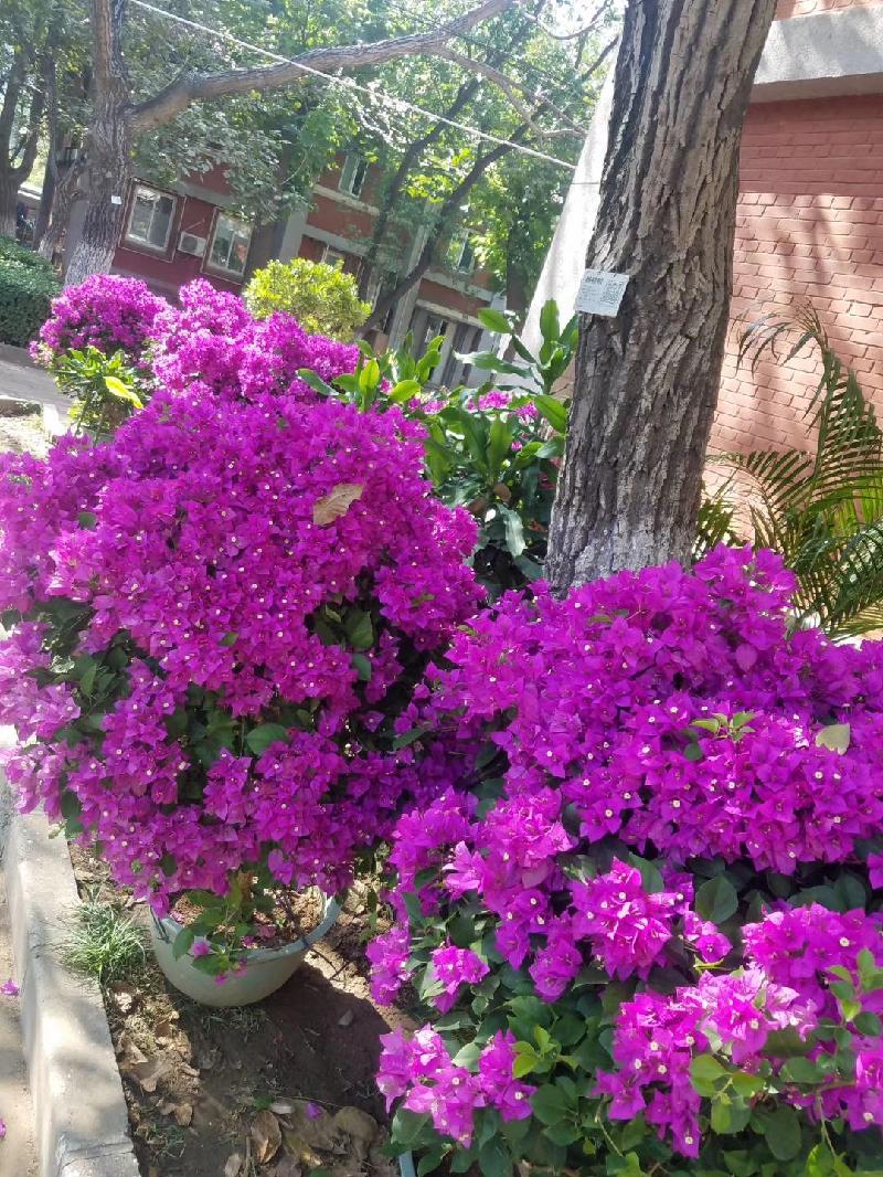 mmexport1570830800427